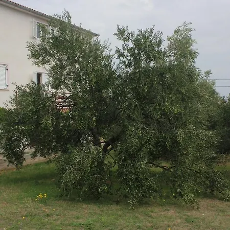 Kraj 8502a *